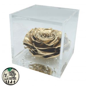 Rosa Stabilizzata Oro – FLOWERCUBE