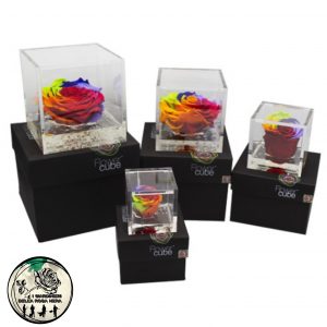 Rosa Stabilizzata Rainbow Multicolor – FLOWERCUBE