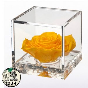 Rosa Stabilizzata Gialla – FLOWERCUBE