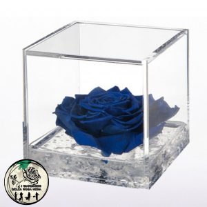 Rosa Stabilizzata Blu – FLOWERCUBE