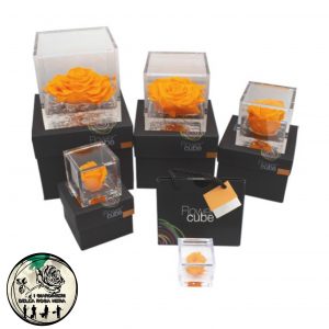 Rosa Stabilizzata Arancio – FLOWERCUBE