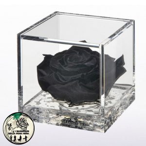 Rosa Stabilizzata Nera – FLOWERCUBE