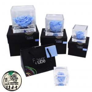 Rosa Stabilizzata Azzurra – FLOWERCUBE