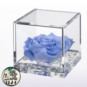 Rosa Stabilizzata Azzurra – FLOWERCUBE