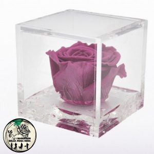 Rosa Stabilizzata Mirtillo – FLOWERCUBE –  Special Edition