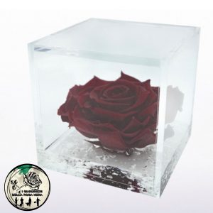 Rosa Stabilizzata Bordeaux – FLOWERCUBE – Special Edition