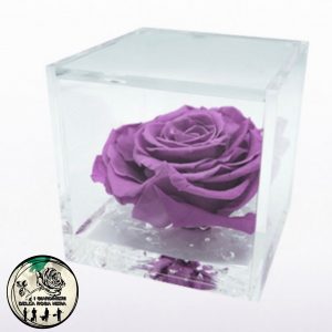 Rosa Stabilizzata Lilla – FLOWERCUBE – Special Edition